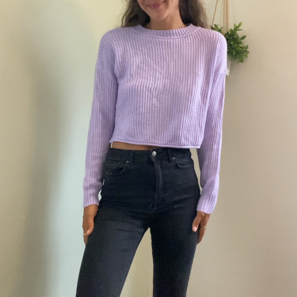 Target crop sweater